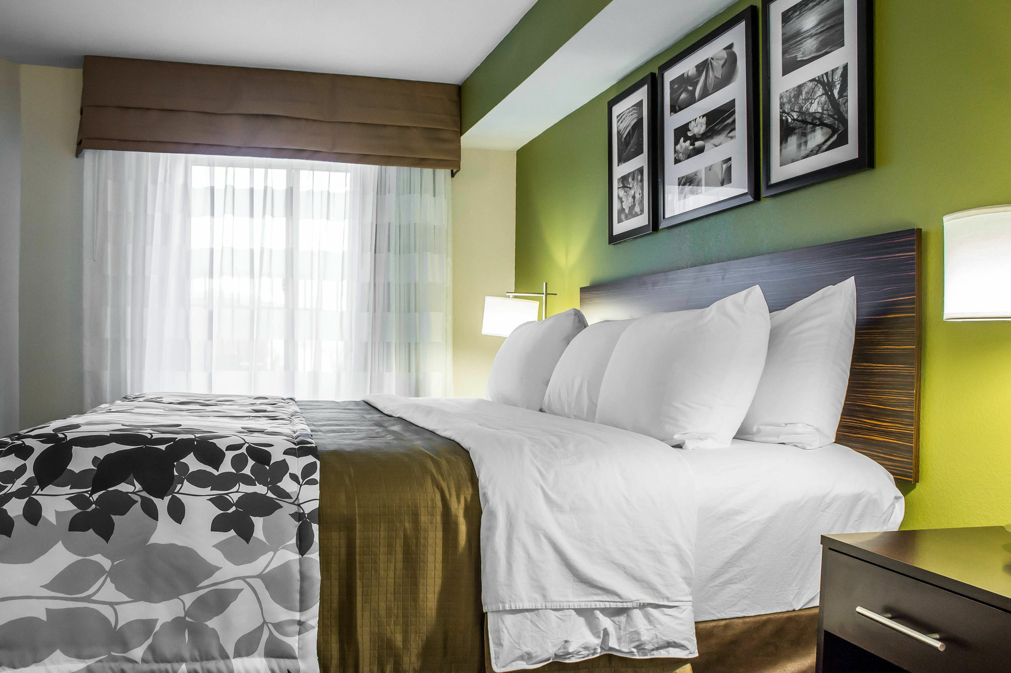 Surestay Plus By Best Western Mesa Superstition Springs Ngoại thất bức ảnh