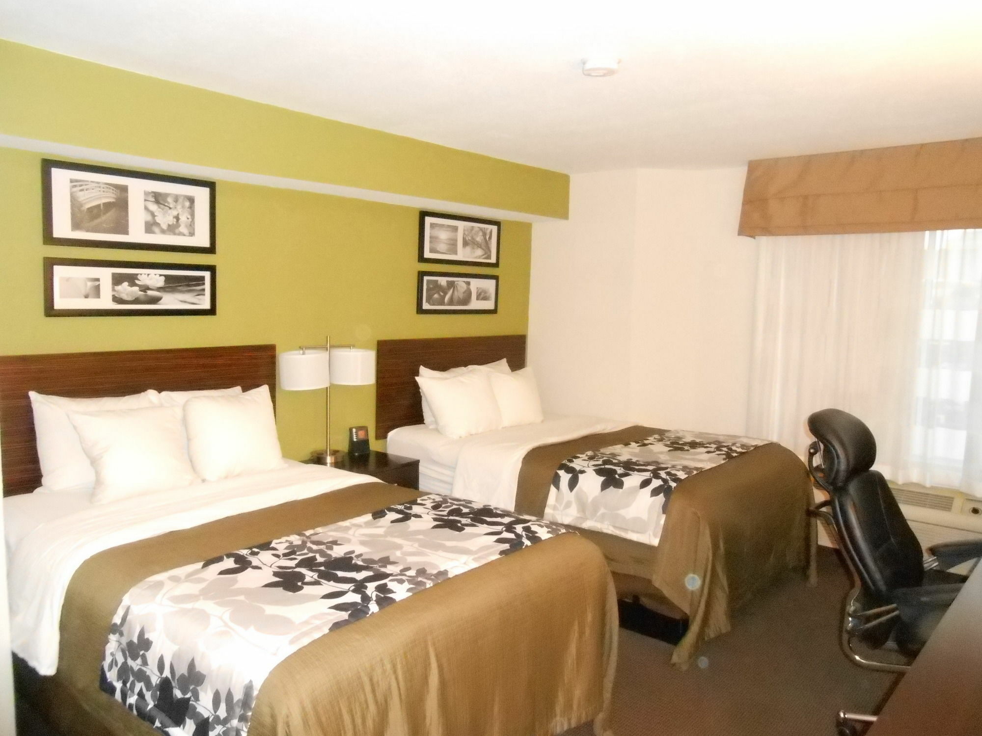 Surestay Plus By Best Western Mesa Superstition Springs Ngoại thất bức ảnh