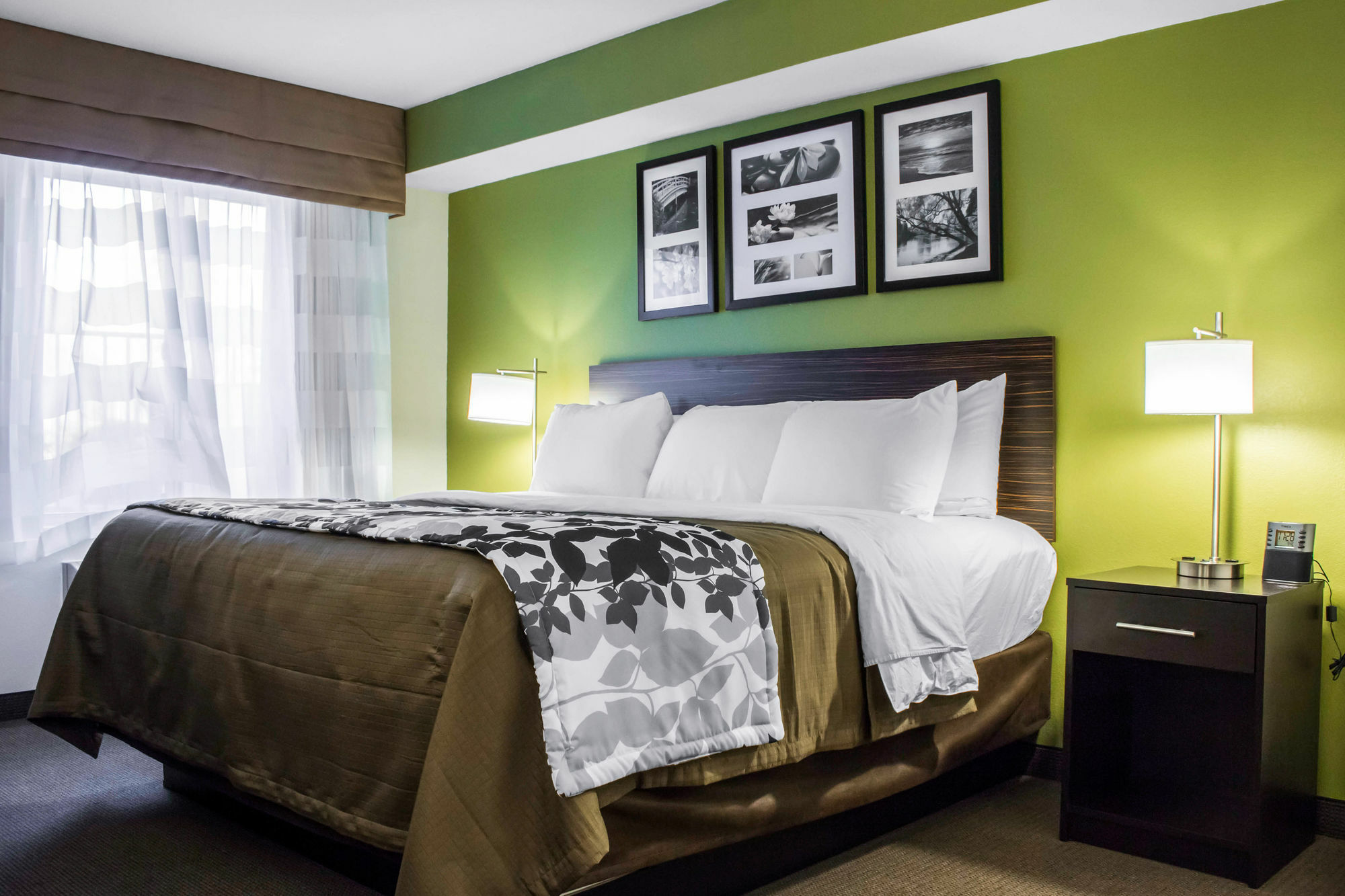 Surestay Plus By Best Western Mesa Superstition Springs Ngoại thất bức ảnh
