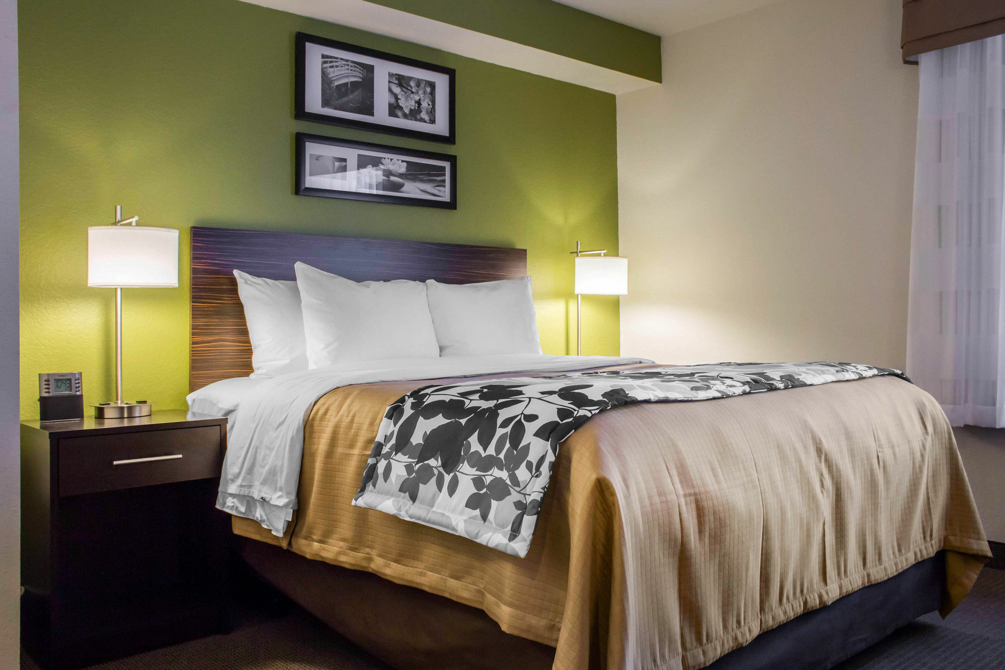 Surestay Plus By Best Western Mesa Superstition Springs Ngoại thất bức ảnh